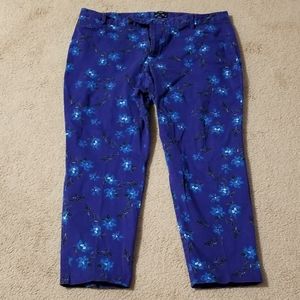 Women's Plus Size Ankle Pants